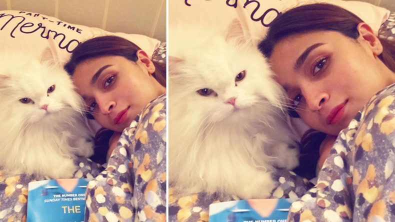 Alia Bhatt Cute Photo: Alia Bhatt Shares Her Cute Selfie with Her Cat on  Bed, Photo Viral, See Here- आलिया भट्ट ने अपनी कैट के साथ शेयर की बेड  सेल्फी, देखें क्यूट