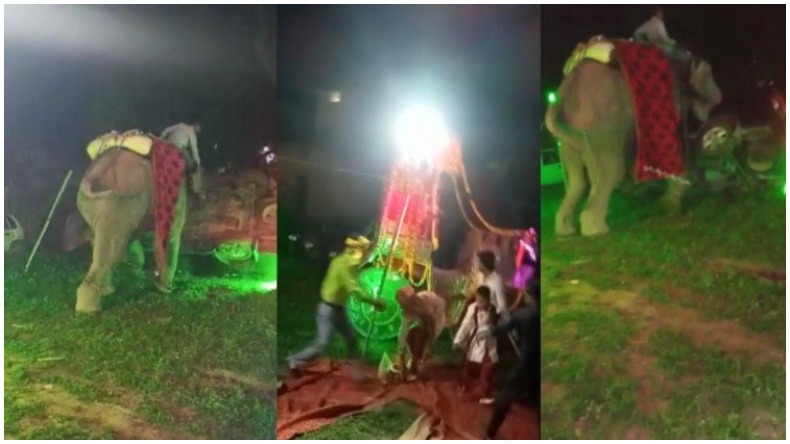 UP Prayagraj Elephant Rampage: बैंड बाजे से बिदके गजराज, गुस्से में मंडप से लेकर पंडाल तक रौंदा, दूल्हे ने कूदकर बचाई जान, वीडियो वायरल