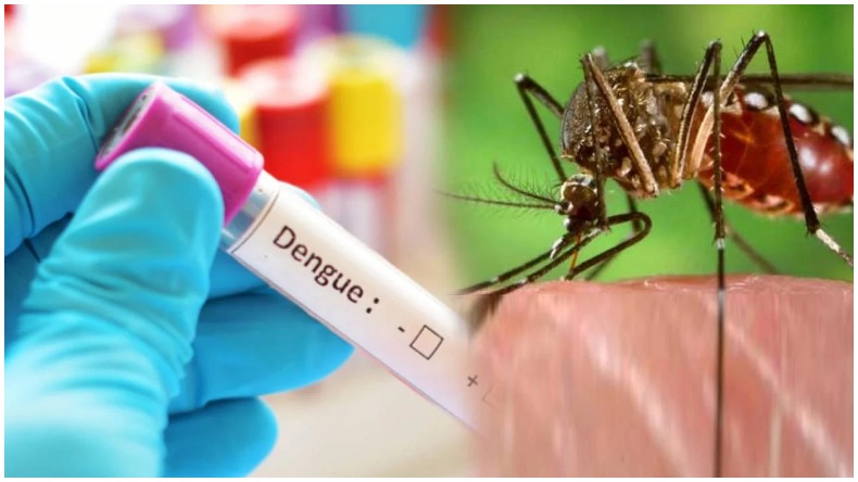 Dengue alert in Delhi : दिल्ली में डेंगू का मचा रहा है कोहराम, अस्पतालों में कोरोना रिजर्व बेड्स किए गए कम