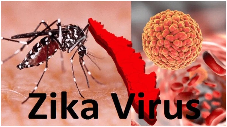 Zika Virus : केरल के बाद अब उत्तर प्रदेश में जीका वायरस का कहर, जानें कितना खतरनाक है यह वायरस