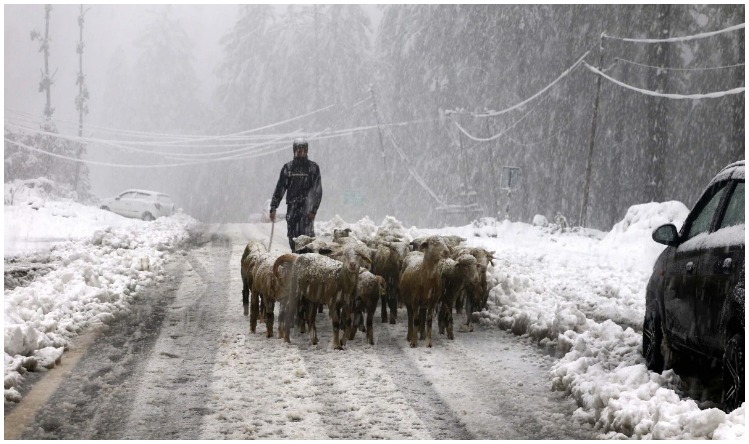 Snowfall in Jammu and Kashmir:  कश्मीर से शिमला तक भारी बर्फ़बारी, देखिए ताजा हाल