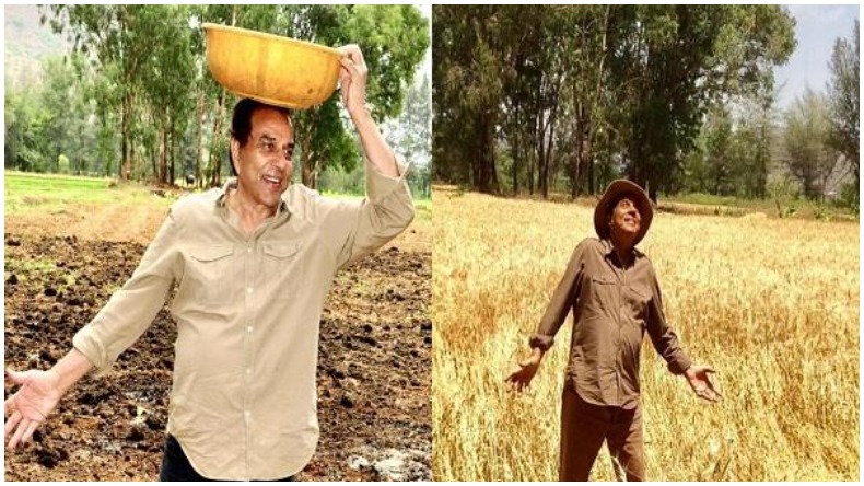 Dharmendra Doing Farming : अपने खाली समय में खेती कर रहें हैं धर्मेंद्र, बोले – प्याज़ लगा दिए अब आलू लगा रहा हूं