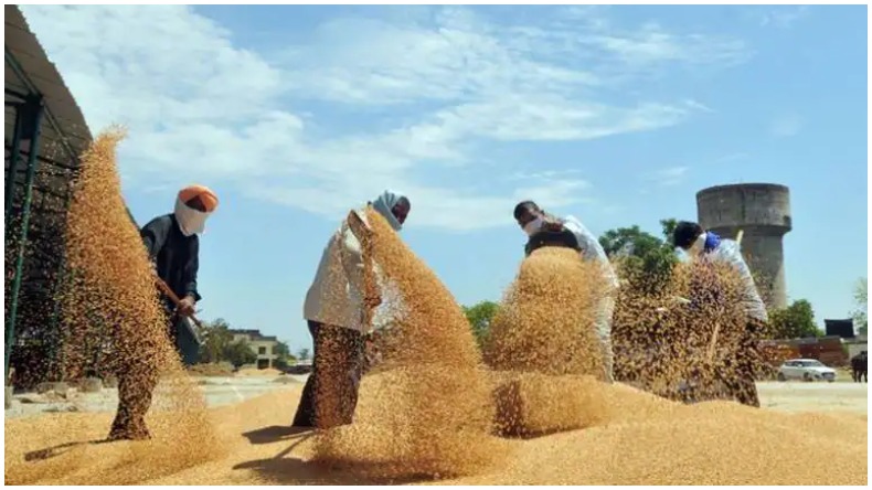 सरकार का गेहूं निर्यात पर बैन, जानें किसान क्यों कर रहे विरोध?