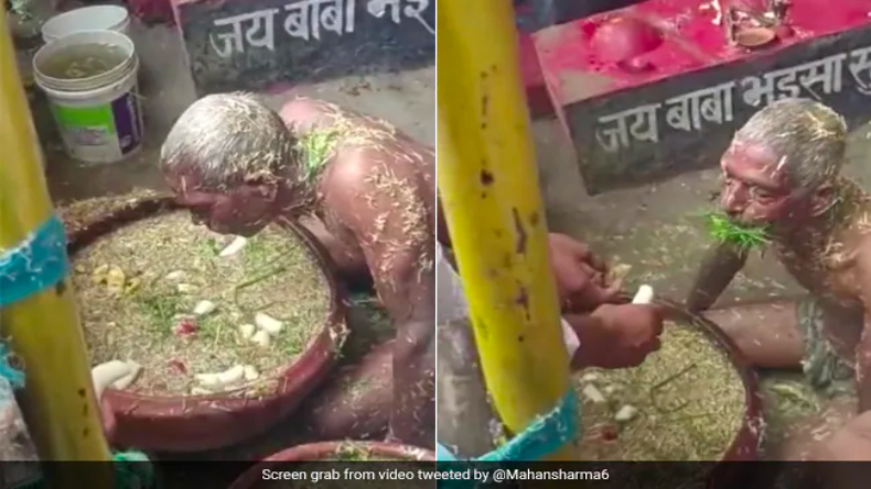 नाद से गाय-भैंसों की तरह भूसा खाता है ये आदमी! देखें Video