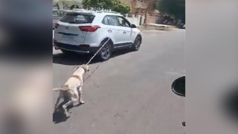 Dog Viral Video: कुत्ते को घसीट कर ले गया कार चालक, क्या मिलेगी सजा