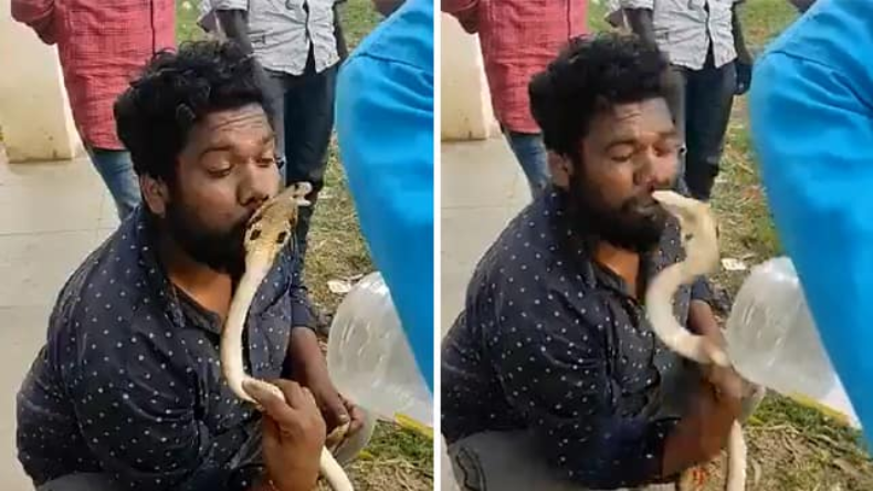 युवक ने किया सांप को किस, फिर मिला ऐसा नज़राना कि.. ! Video viral