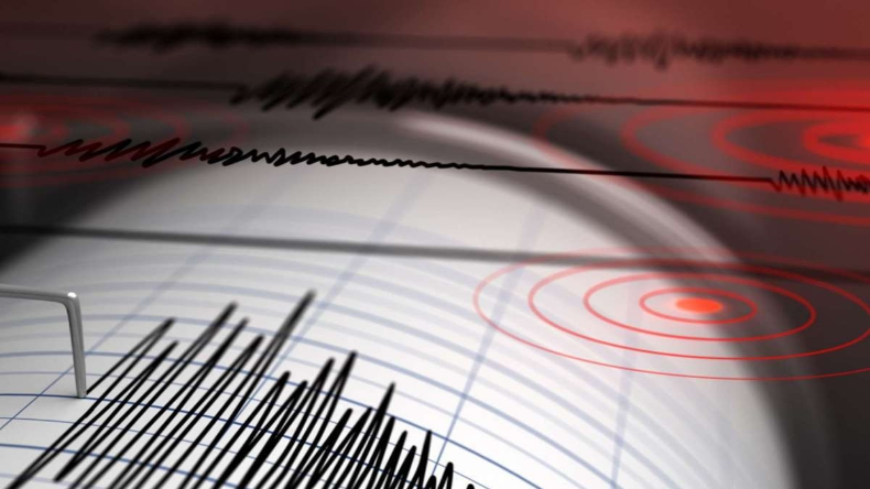 Earthquake: भूकंप के तेज झटकों से कांपा न्यूजीलैंड, रिक्टर स्केल पर 7.3 आंकी गई तीव्रता