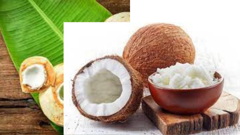 Benefits of Coconut: डायबिटीज पेशेंट्स को क्यों खाना चाहिए नारियल, छिपे होते हैं चमत्कारी गुण