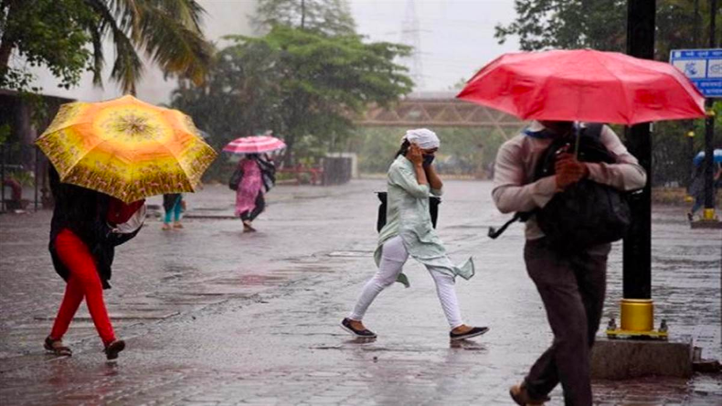 Monsoon में भीगा देश का 80 फीसदी हिस्सा, 5 दिनों तक बरसात का अलर्ट, 14 लोगों की मौत