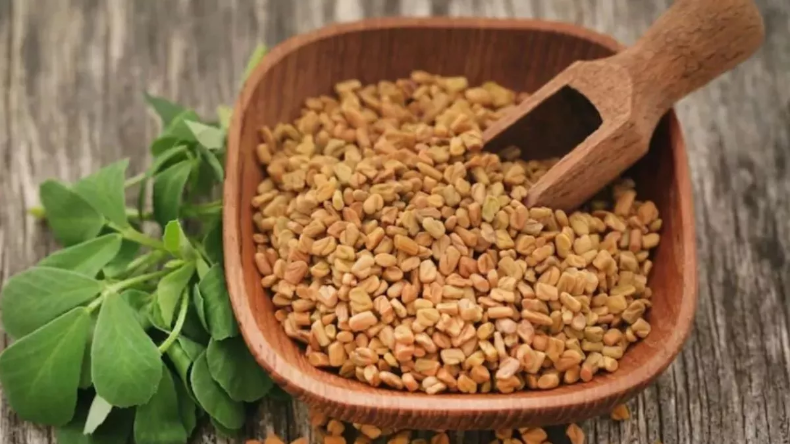 Fenugreek Side Effects: सर्दियों में जरूरत से ज्यादा मेथी खाना है नुकसानदेह, जानें क्या हो सकती हैं दिक्कतें ?