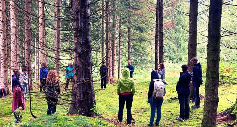 Forest Bathing: मानसिक तनाव से बचने के लिए ‘फॉरेस्ट बाथिंग’ थेरेपी है मददगार