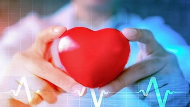 HEALTHY HEART: इन आयुर्वेद के नियमों से स्वस्थ रहेगा हार्ट, कम उम्र में ये हो रहीं है समस्याएं