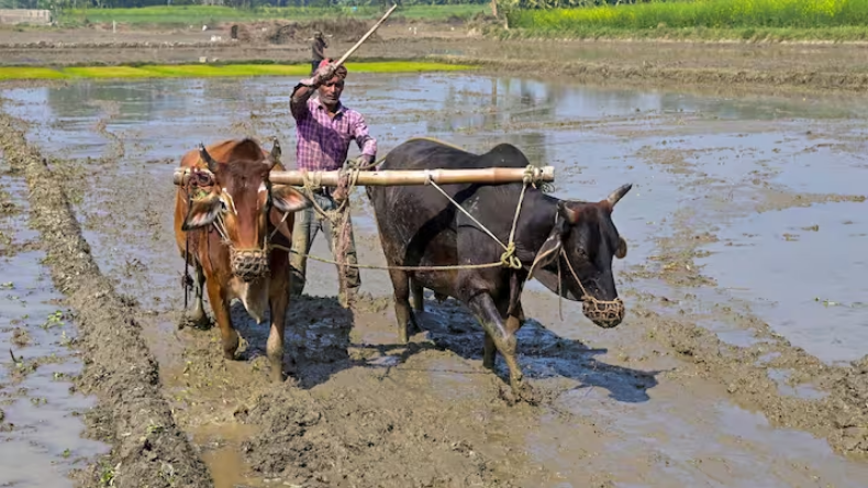 राजस्थान: किसानों को बड़ा तोहफा, जल्द शुरू होगा गोपाल क्रेडिट कार्ड