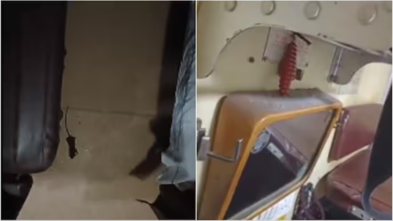 Woman Spots Rat Inside Train: ट्रेन में सीट के आसपास मंडराता दिखा चूहा, महिला यात्री ने उठाया ये कदम