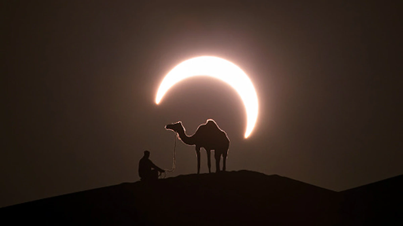 Eclipse: सूर्य ग्रहण के दौरान जानवर कैसे करते हैं व्यवहार, जानें इस पर वैज्ञानिको ने क्या कहा