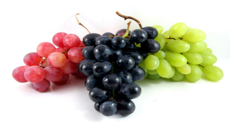 Grapes Benefits: हरा या काला अंगूर नहीं बल्कि खाएं लाल अंगूर, होगा ये फायदा