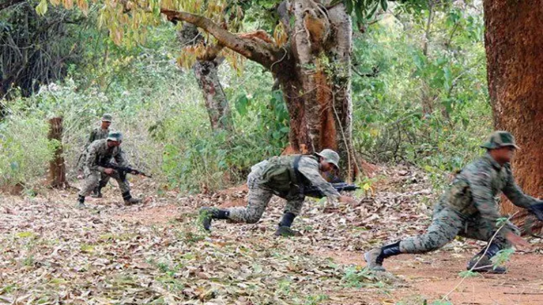 महाराष्ट्र के गढ़चिरौली जिले में सुरक्षा बलों का बड़ा एक्शन, तीन नक्सलियों को मार गिराया