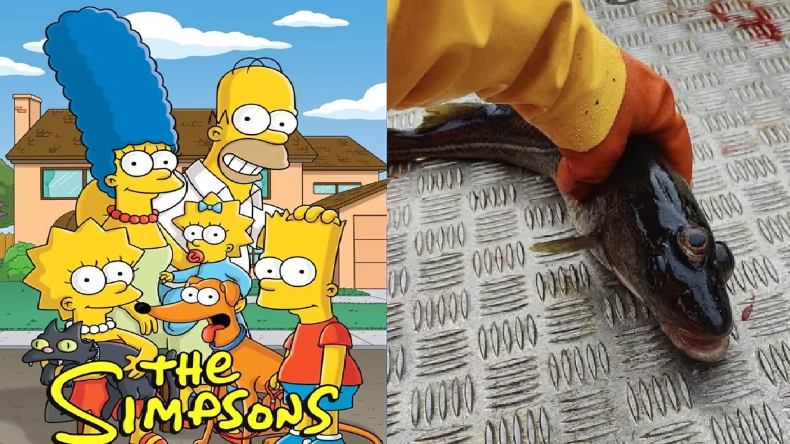 Simpsons की भविष्यवाणी फिर हुई सच, तीन आंख वाली मछली ने मचाई धूम