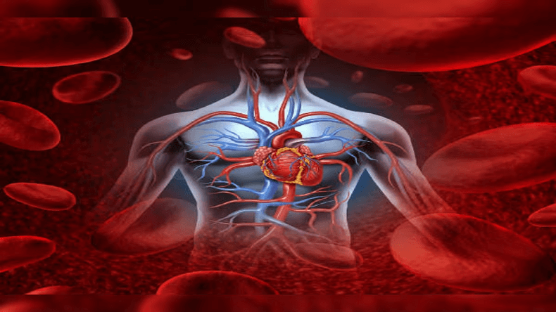 शरीर में रक्त संचार को सही करने के लिए अपनाएं ये खास टिप्स, मिलेंगे कई फायदे