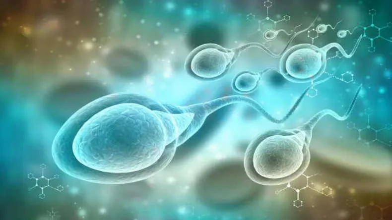 Semen Vs Sperm: जानें क्या है स्पर्म और सीमन में अंतर, फर्टिलिटी के लिए कौन ज्यादा जरूरी?