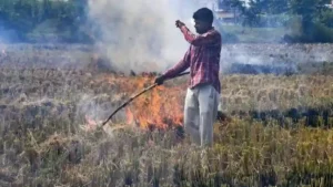 पंजाब और हरियाणा में पराली जलाने पर सख्ती, फ्लाइंग स्क्वाड की तैनाती