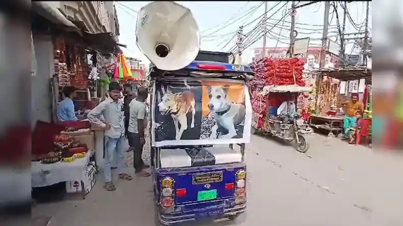 अफसर के टॉमी को ढूंढने पर मिलेगा इनाम, गली-गली में अनाउंसमेंट