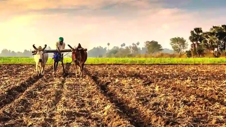 बटाईदारों को कब मिलेगी पीएम-किसान सम्मान निधि की राशि, सरकार ने दिया जवाब